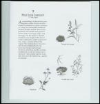 Click on one of the size names below to enlarge this image