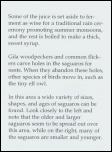 Click on one of the size names below to enlarge this image