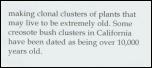 Click on one of the size names below to enlarge this image