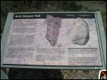 Click on one of the size names below to enlarge this image
