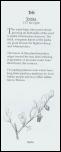 Click on one of the size names below to enlarge this image