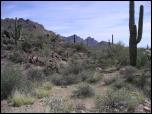 Click on one of the size names below to enlarge this image