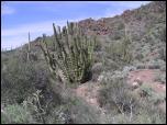 Click on one of the size names below to enlarge this image