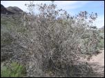 Click on one of the size names below to enlarge this image