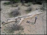 Click on one of the size names below to enlarge this image