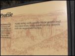 Click on one of the size names below to enlarge this image